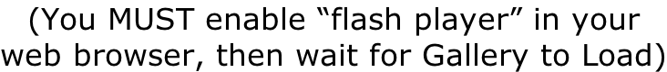 (You MUST enable “flash player” in your  web browser, then wait for Gallery to Load)